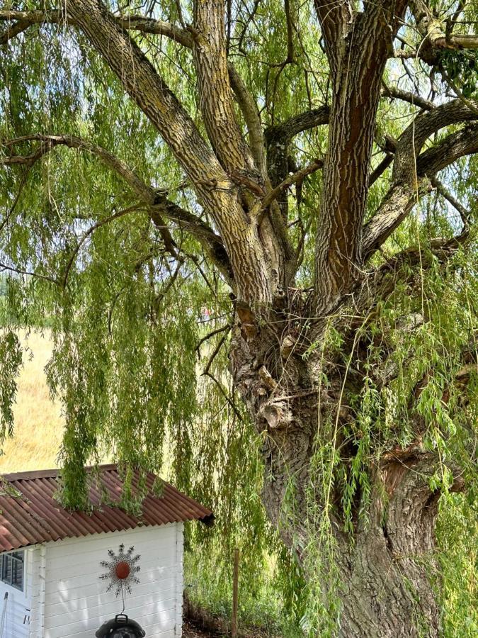 Maison Bourbonnaise Idealement Placee Proche Du Centre Ville De Moulins Neuvy  Zewnętrze zdjęcie